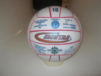 Volleyball