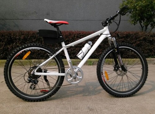 CE 36V Light Electric Bicycle (AFT-EB-141)