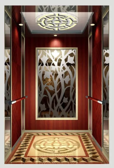 Luxury Chinese Design Passenger Elevator