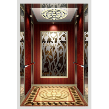 Luxury Chinese Design Passenger Elevator