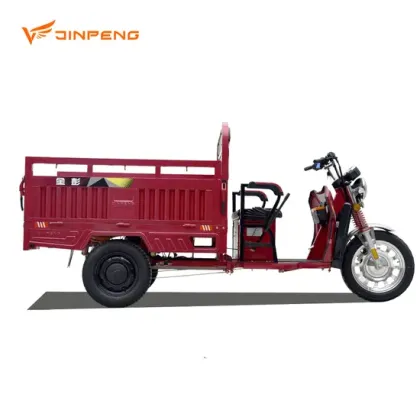 Big Battery 3-Wheel Electric Cargo Tricycle