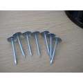 Polished Shank Nails Polished Shank Roofing Nails Factory