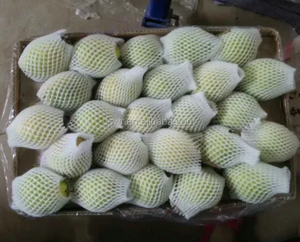 New season green shandong pear  fresh crown pear ya pear