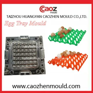 High Quality Plastic Egg Tray Mould in Huangyan