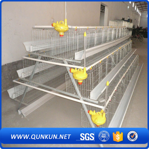 Uống Núm vú 3 lớp Đối với 96 Gà Gà