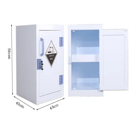 Acid Storage Cabinet - Lab Furniture & Laboratory Storage Solutions