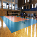 チャンピオンシップのための屋内プロFIVBバレーボールフロア