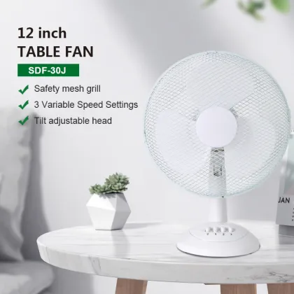 16 Inch Pedestal Fan - China Power King Electric Fan