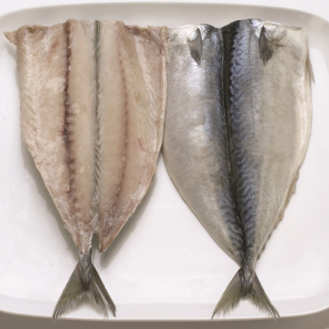 Lowest Price Frozen Pacific Mackerel Butterfly Flap