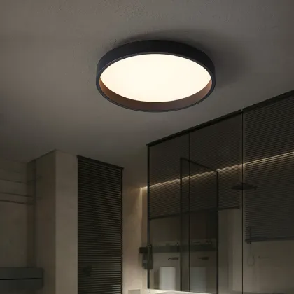 Latest Design Hot Sale LED Light Designer Ceiling Lamp Decor - New Arrival