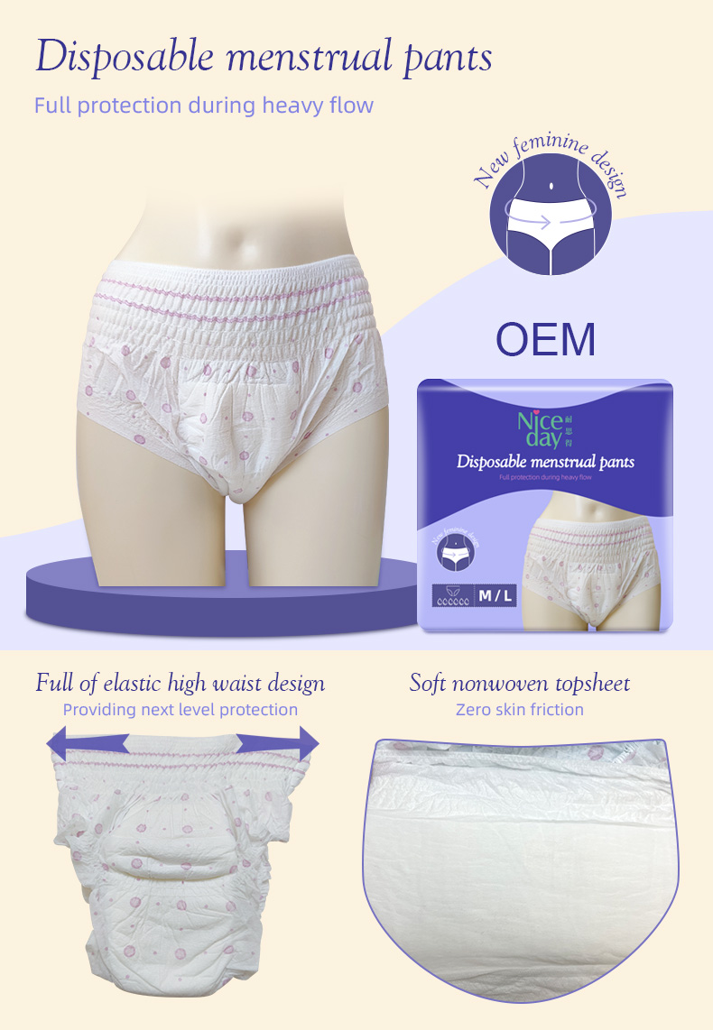 Disposable Period Underwear