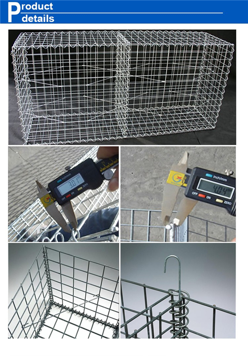 Welded Mesh Galvanized Wire Mesh Gabion