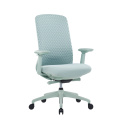 Modern Ergonomic Office Chair with Comfort & Style Mesh Design Lumbar Support Adjustable Height