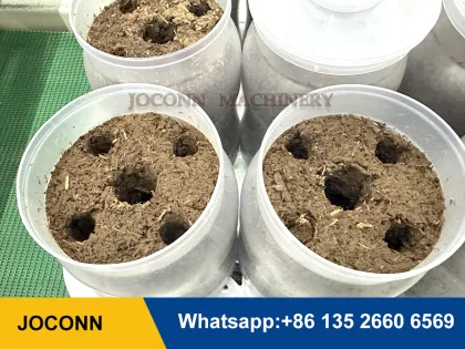Autoclavable Enoki Mushroom Cultivation Bottle for Edible Fungus Growing