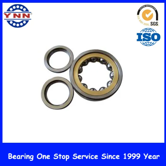 Hot Sell and Top Precision Cylindrical Roller Bearing (NU 207)