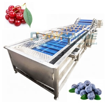 Speed Adjustable Automatic Cherry Washing Machine