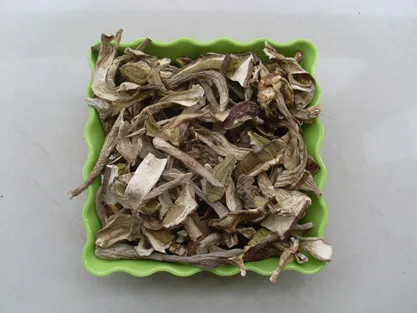 dried boletus edulis