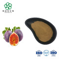 Free Sample Fig extract Powder Flavoniod