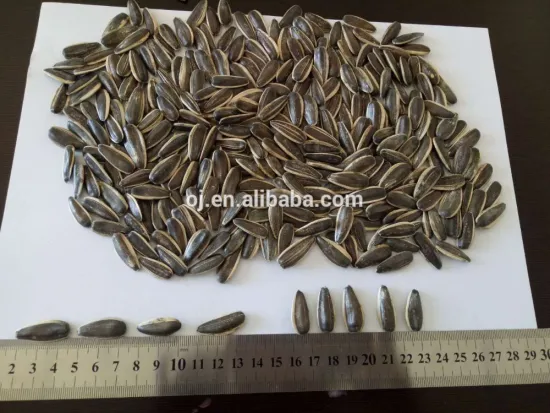 sunflower seeds