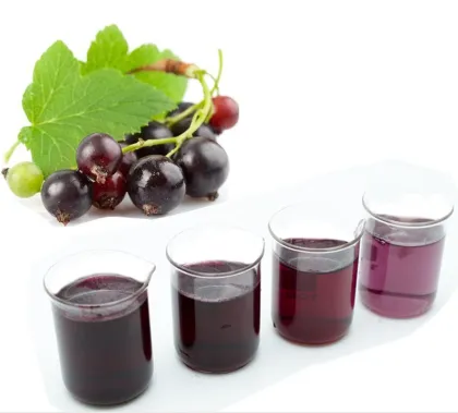 Black Currant Extract Powder