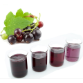 Natural Black Currant Extract Powder