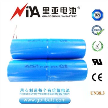 3.6V D size ER34615M battery pack with connectors
