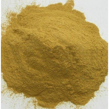 Natural Skin Care Ingredients Aloe Extract 18%Aloin Aloe Powder Aloe Vera L.