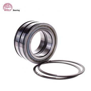 Double Row Full Complement Cylindrical Roller Bearing SL04-5010NR