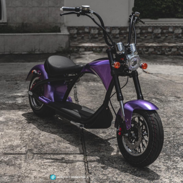 Armazém da UE/EUA: scooters elétricos no atacado com assento - bijes de pneus de gordura da cidade de coco