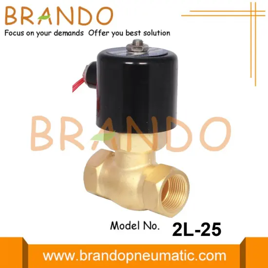 2L-25 1'' DN25 High Temperature Steam Solenoid Valve