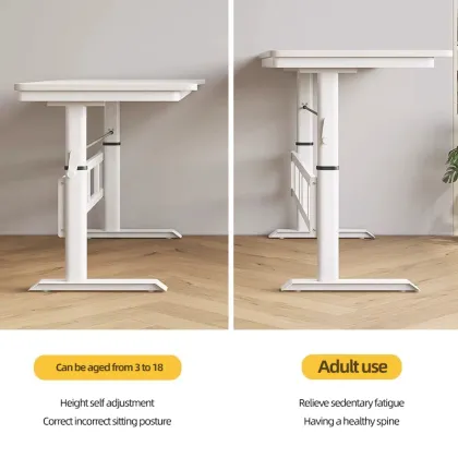 Best Price: Adjustable Office Desk - Sit to Stand, Ergonomic & Flexible Uplift Desk
