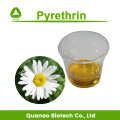 Pyrethrum extract 10:1 pyrethrin 25% for insecticide