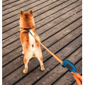 Dispensador de bolsa de caca de perro de calidad