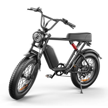 20 Inch Fat Tire Electric Bikes Motorcycle