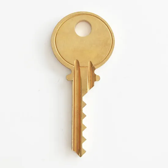 High Security Y1 Brass Bump Keys