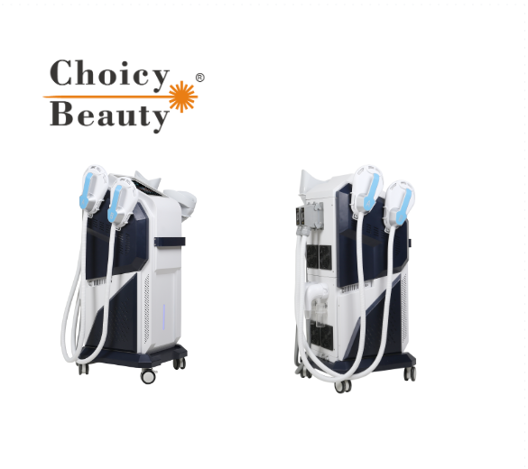 Εξοπλισμός Advanced Esthetics EMS Sculpting Machine προς πώληση