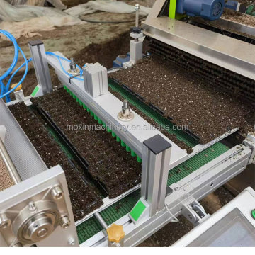 Pumpkin Purple Cabbage Tray Seeder Machine: Efficient Seeding for Nursery Sowing