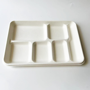 Bagasse 6 compartment tray 320x233x30mm
