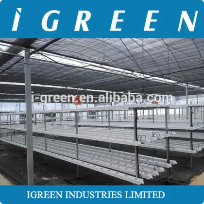 Commercial NFT hydroponics system