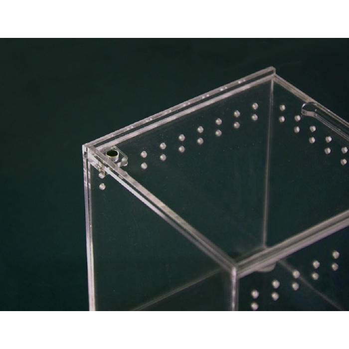 Caja de cría de escarabajo acrílico extra grueso