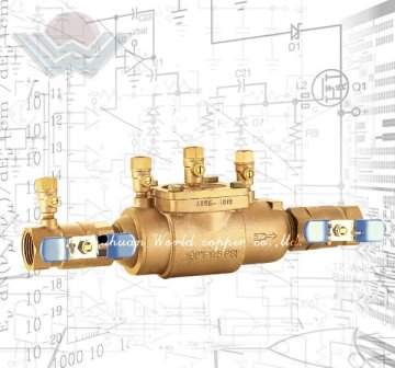 Bronze Backflow Preventor Double Door Check Valve