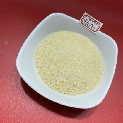 Hot Sale Gelatin Powder Best Price