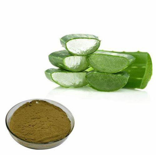 Natural Aloe Vera Extract Powder