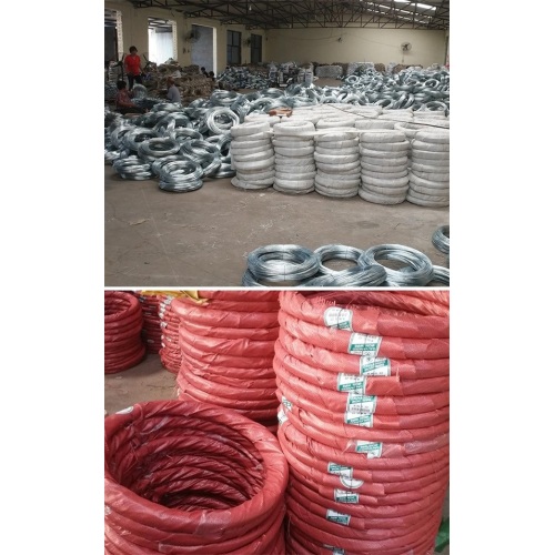 Electro Galvanized Wire Electro Galvanized Coiling Wire Supplier