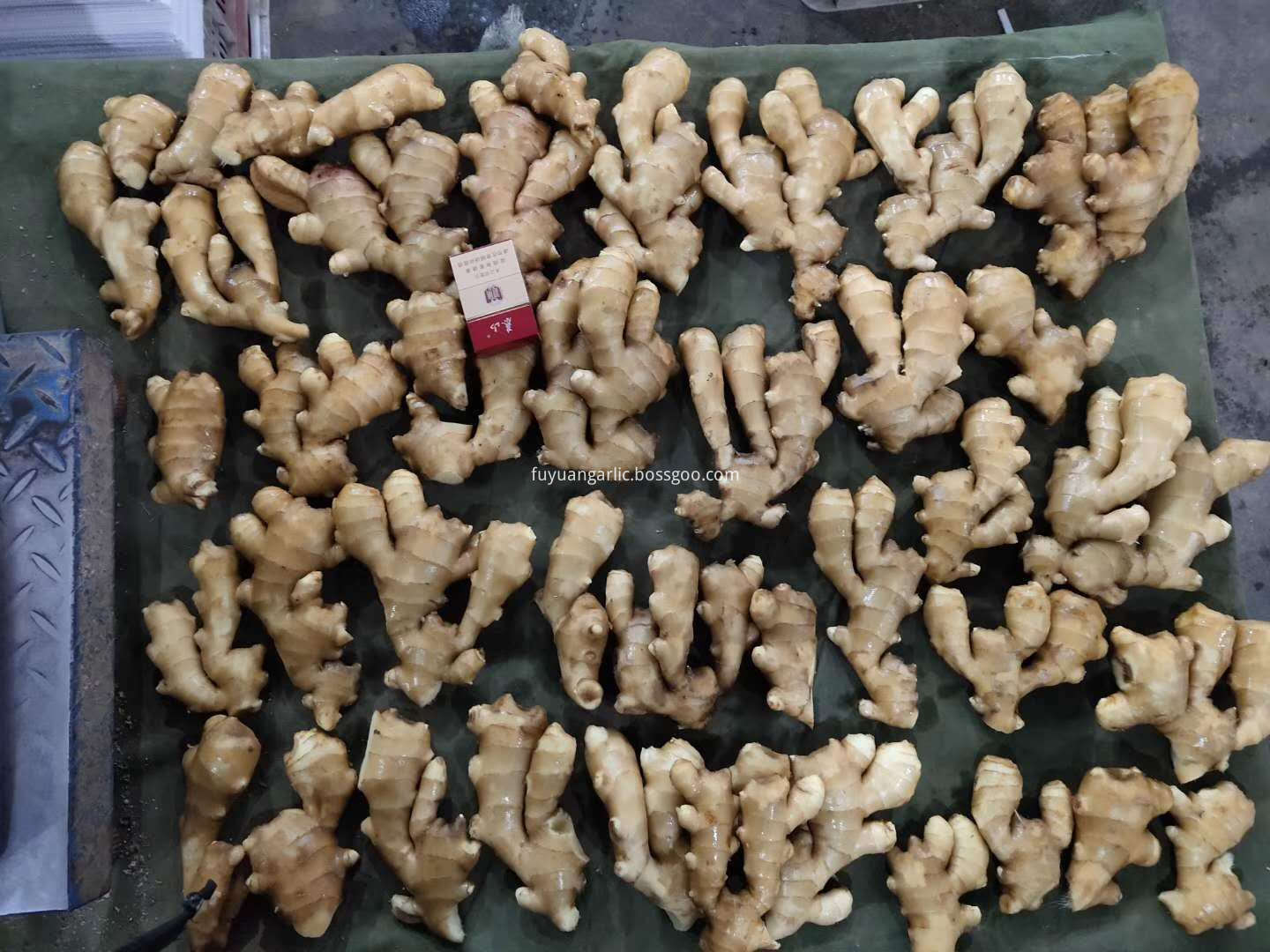 air dried ginger 