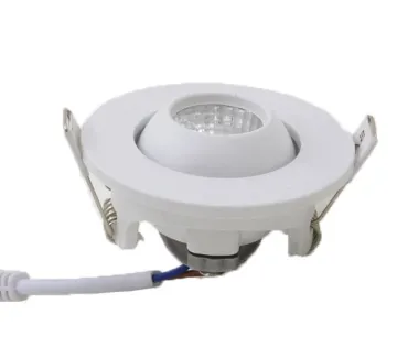 LED mini downlight for entrance