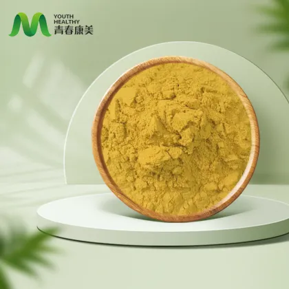98% 99% Natural Aloe Vera Extract Powder