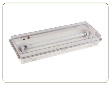 New Design T5 8W Emergency Light
