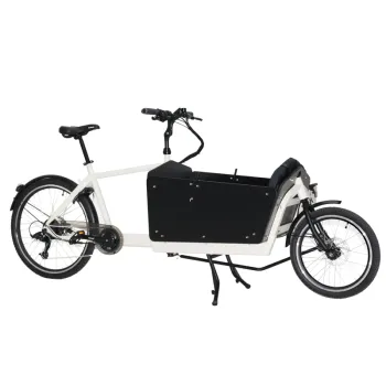 Factory- Manufactured 250W Electric Two-Wheel Cargo Bike with a Box for Carrying Children