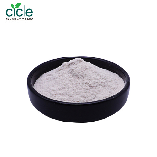 Chitosan Hydrochloride HCL Powder